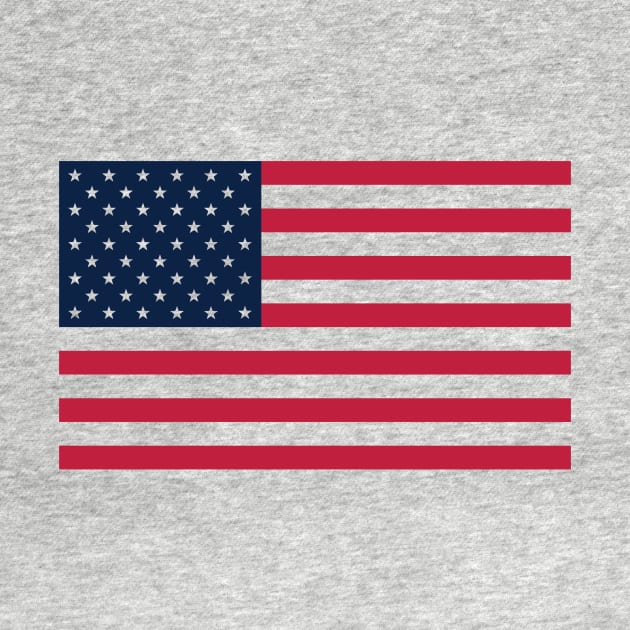 USA Flag Transparent by MrLarry